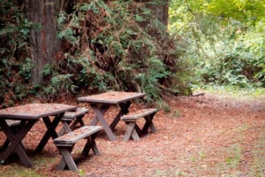 Creekside Resort picnic area