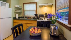 The Robin Cabin kitchen at Creekside Resort