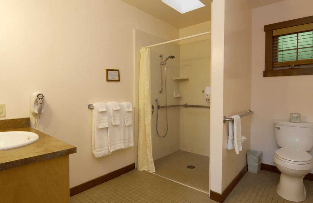 The Lark Accessible Shower