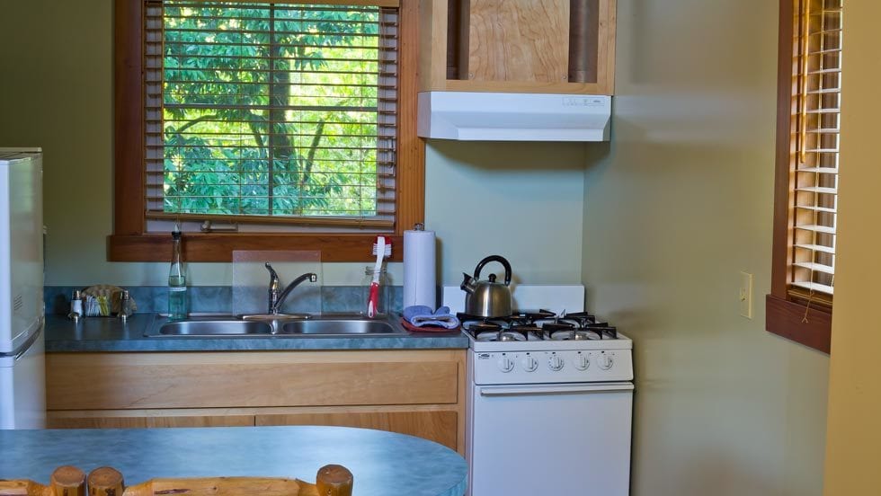 Wren Cabin kitchen at Creekside Resort